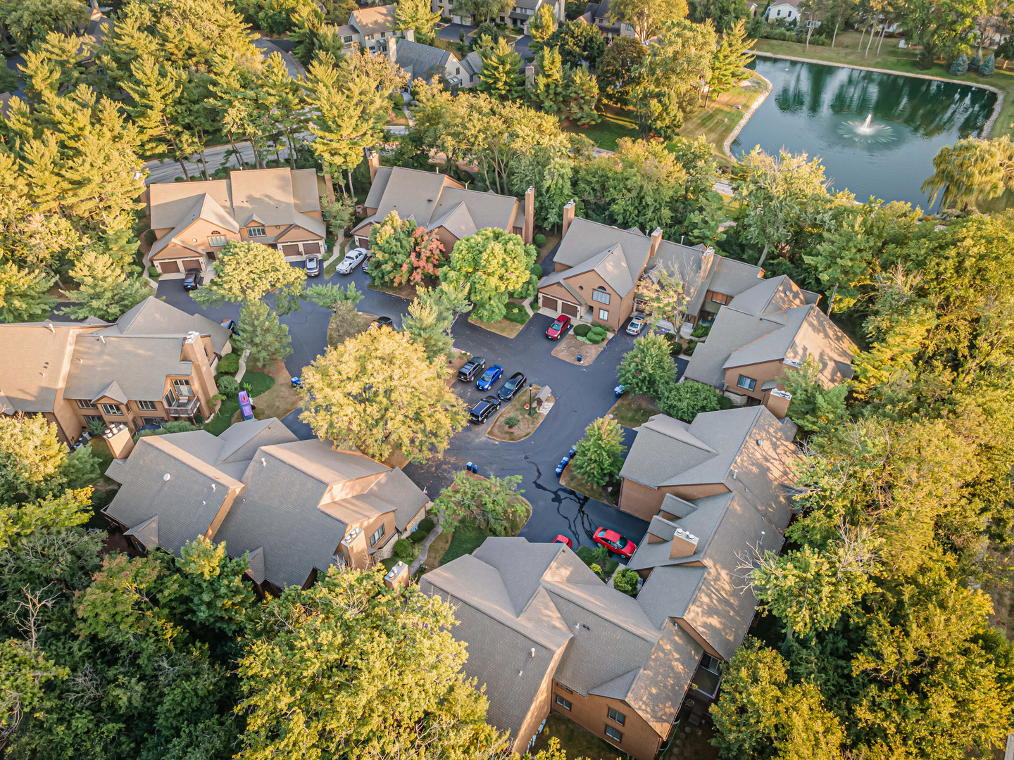 1145 Lacebark Court 1145