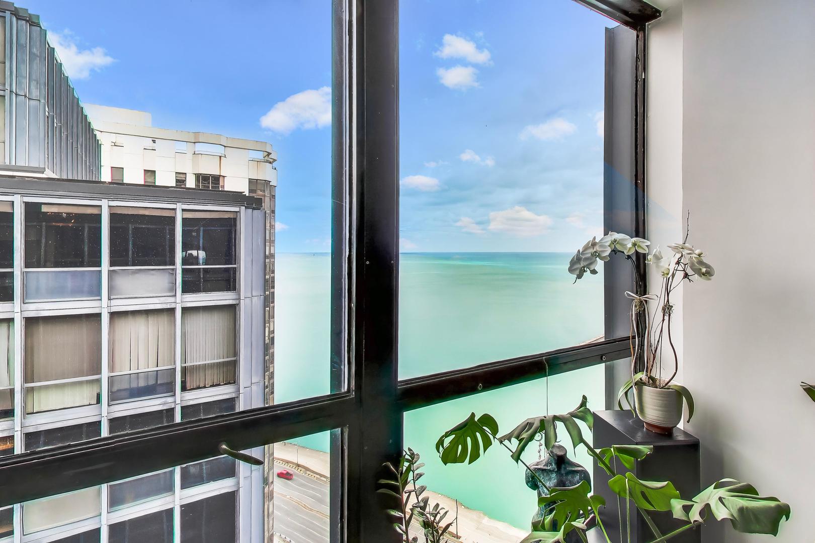 900 N LAKE SHORE Drive 2903