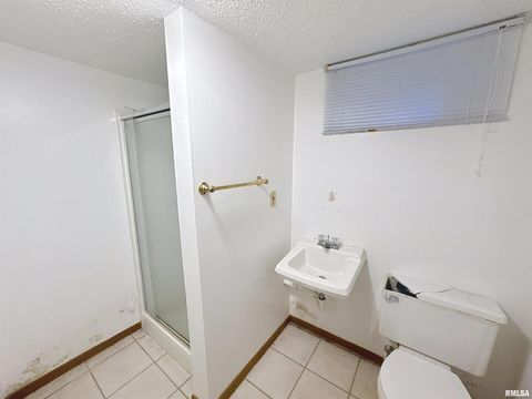 Tiny photo for 2130 10TH Street, East Moline, IL 61244 (MLS # QC4269036)