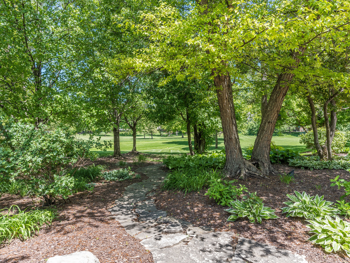 1611 Mistwood Drive