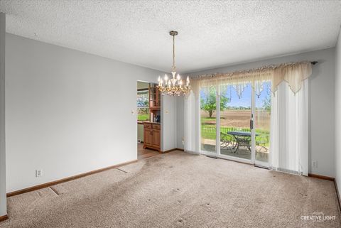 Tiny photo for 225 W Joliet Street, Newark, IL 60541 (MLS # 12630432)