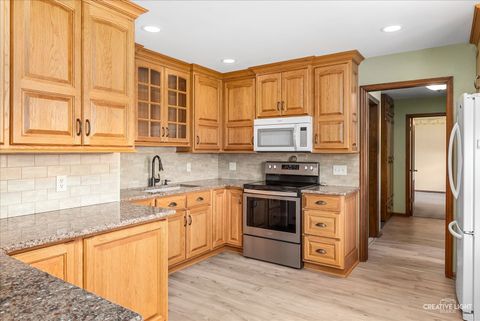 Tiny photo for 225 W Joliet Street, Newark, IL 60541 (MLS # 12630432)