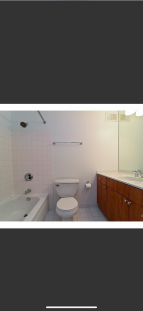 474 N Lake Shore Drive 5304