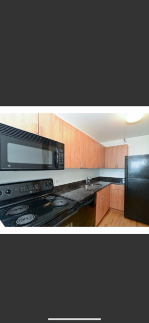 474 N Lake Shore Drive 5304