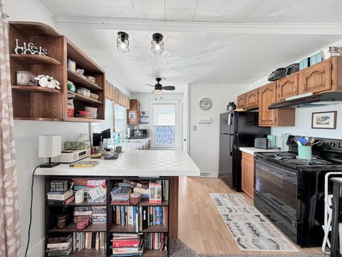 Tiny photo for 1902 Chicago Avenue, Savanna, IL 61074 (MLS # 12486994)
