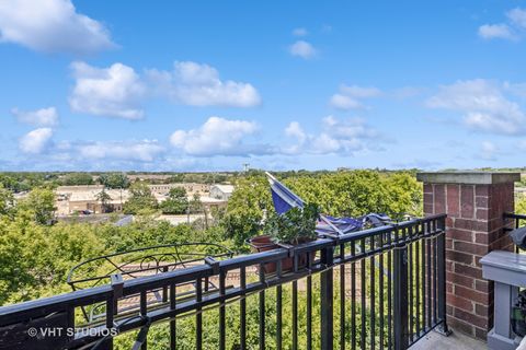 Tiny photo for 390 W Mahogany Court #606, Palatine, IL 60067 (MLS # 12509744)