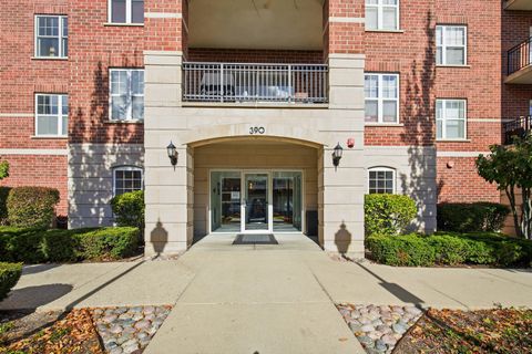 Tiny photo for 390 W Mahogany Court #606, Palatine, IL 60067 (MLS # 12509744)