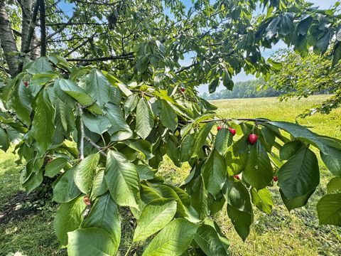 Tiny photo for 1204 W Reynolds Street, Pontiac, IL 61764 (MLS # 12494074)