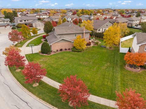 Tiny photo for 8649 Monaghan Drive, Tinley Park, IL 60487 (MLS # 12559089)