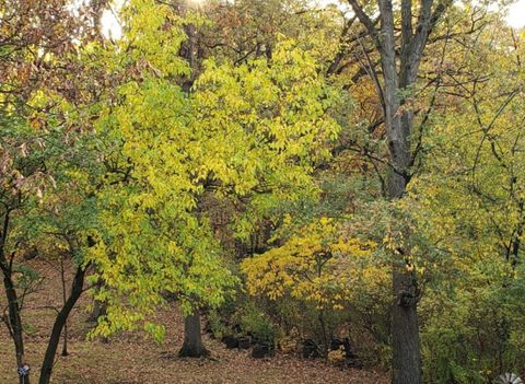 Tiny photo for 9215 S 83rd Avenue, Hickory Hills, IL 60457 (MLS # 12586745)