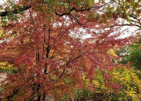 Tiny photo for 9215 S 83rd Avenue, Hickory Hills, IL 60457 (MLS # 12586745)