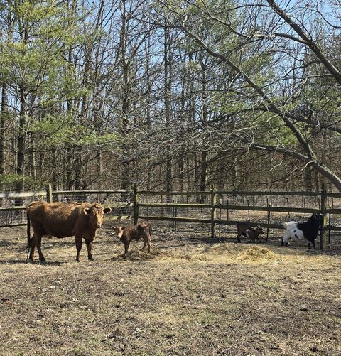 Tiny photo for 19583 W Goodwin Road, Wilmington, IL 60481 (MLS # 12497660)