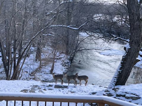 Tiny photo for 19583 W Goodwin Road, Wilmington, IL 60481 (MLS # 12497660)