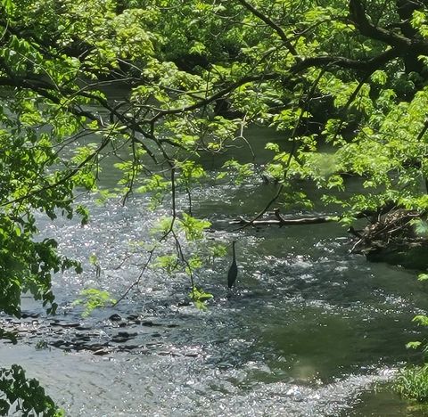 Tiny photo for 19583 W Goodwin Road, Wilmington, IL 60481 (MLS # 12497660)