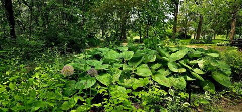 Tiny photo for 19583 W Goodwin Road, Wilmington, IL 60481 (MLS # 12497660)