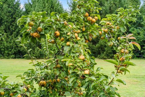 Tiny photo for 19583 W Goodwin Road, Wilmington, IL 60481 (MLS # 12497660)