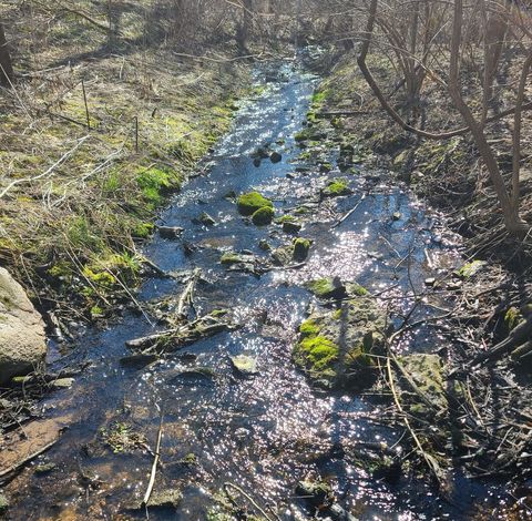 Tiny photo for 19583 W Goodwin Road, Wilmington, IL 60481 (MLS # 12497660)