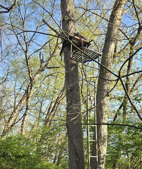 Tiny photo for 19583 W Goodwin Road, Wilmington, IL 60481 (MLS # 12497660)