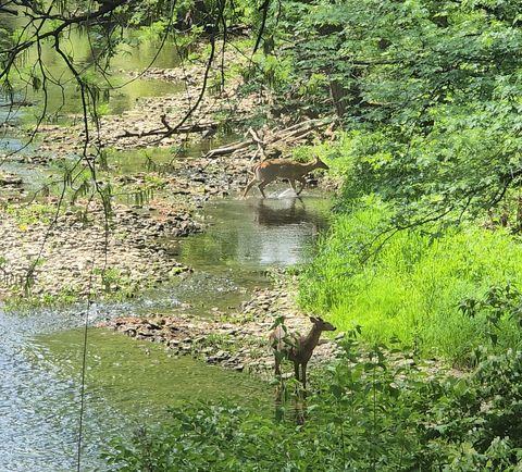 Tiny photo for 19583 W Goodwin Road, Wilmington, IL 60481 (MLS # 12497660)