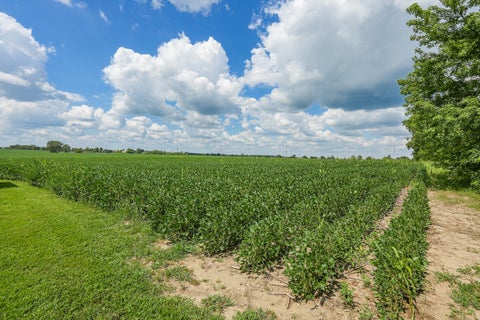 Tiny photo for 19600 W Peotone Road, Wilmington, IL 60481 (MLS # 12745150)