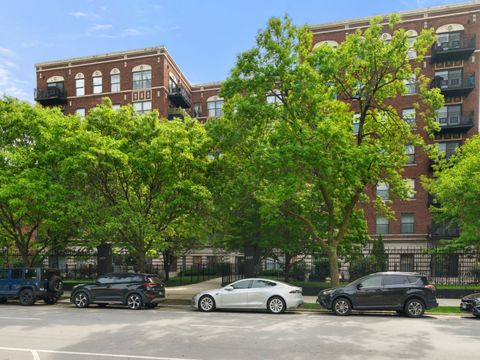 4537 S Drexel Boulevard 303 Chicago IL 60653