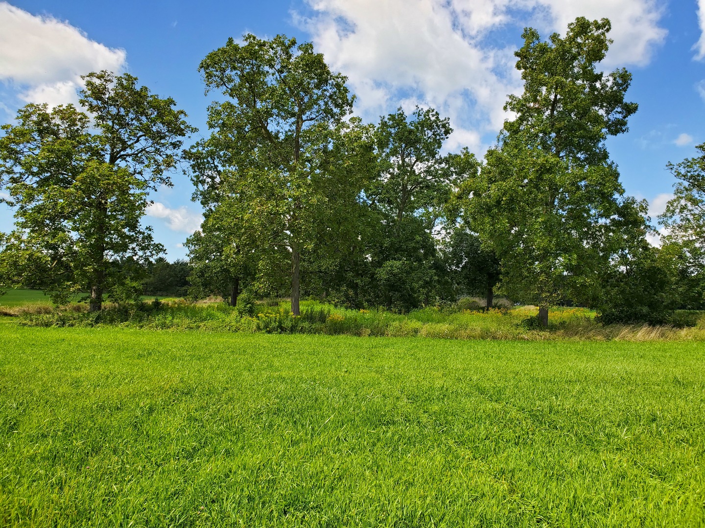 1936 Galloway Court, Lot 1