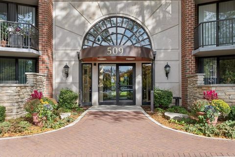 Tiny photo for 509 Aurora Avenue #209, Naperville, IL 60540 (MLS # 12490628)
