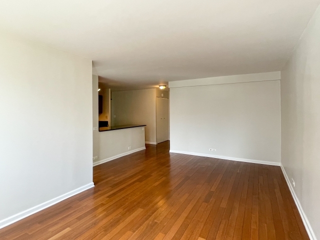 222 E Pearson Street 1206