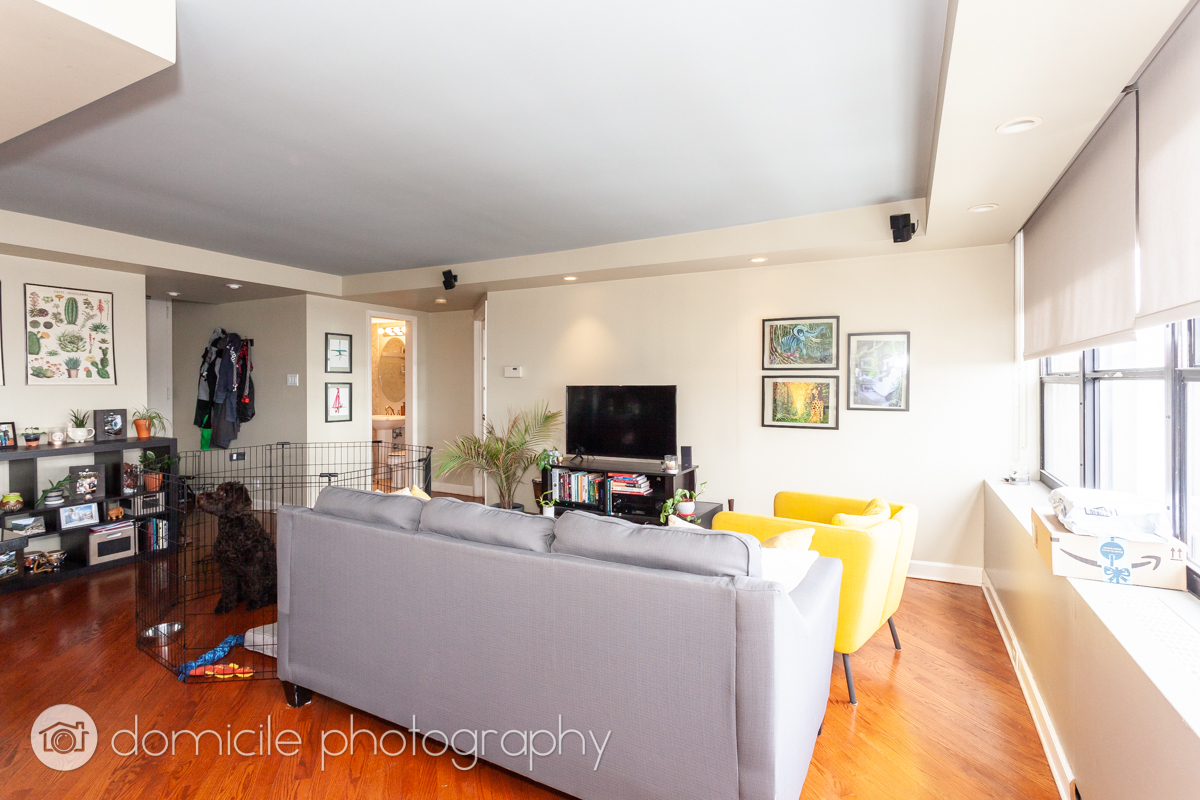 655 W Irving Park Road 3103