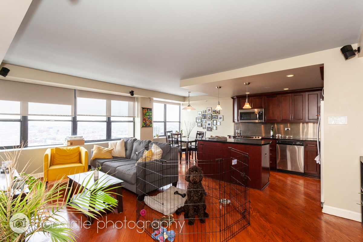655 W Irving Park Road 3103