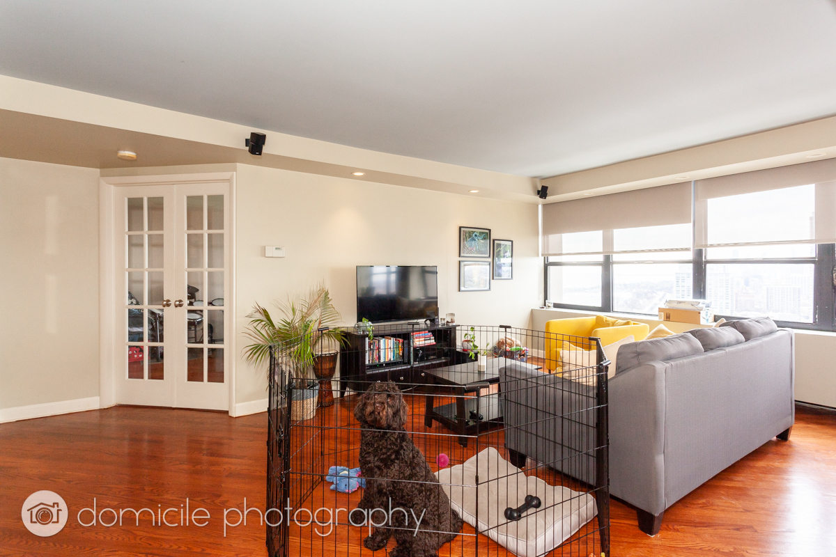 655 W Irving Park Road 3103