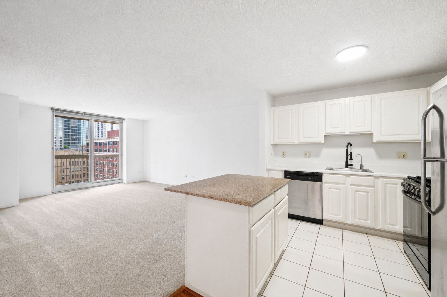 545 N Dearborn Street 1309