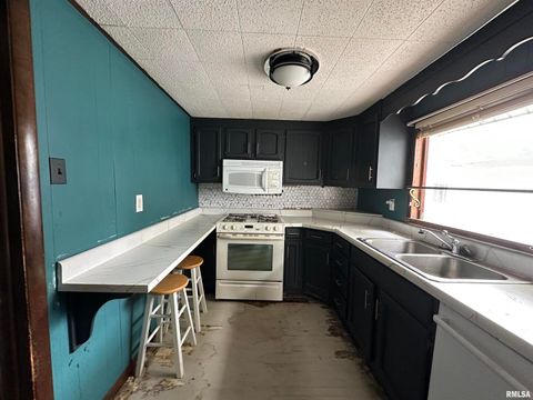 Tiny photo for 605 W STATE Street, Buckner, IL 62819 (MLS # EB460085)