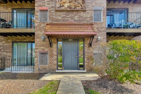 Tiny photo for 111 W Brandon Court #E24, Palatine, IL 60067 (MLS # 12495189)