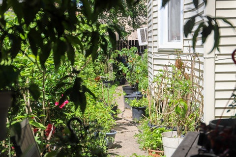 Tiny photo for 6315 S TROY Street, Chicago, IL 60629 (MLS # 12689728)