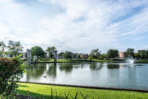 Tiny photo for 601 W Huntington Common Road #201, Mount Prospect, IL 60056 (MLS # 12742783)
