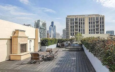 Tiny photo for Chicago, IL 60654 (MLS # 12290381)