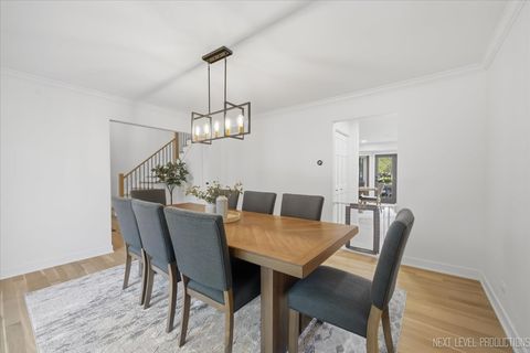 Tiny photo for 510 De Lasalle Avenue, Naperville, IL 60565 (MLS # 12687663)