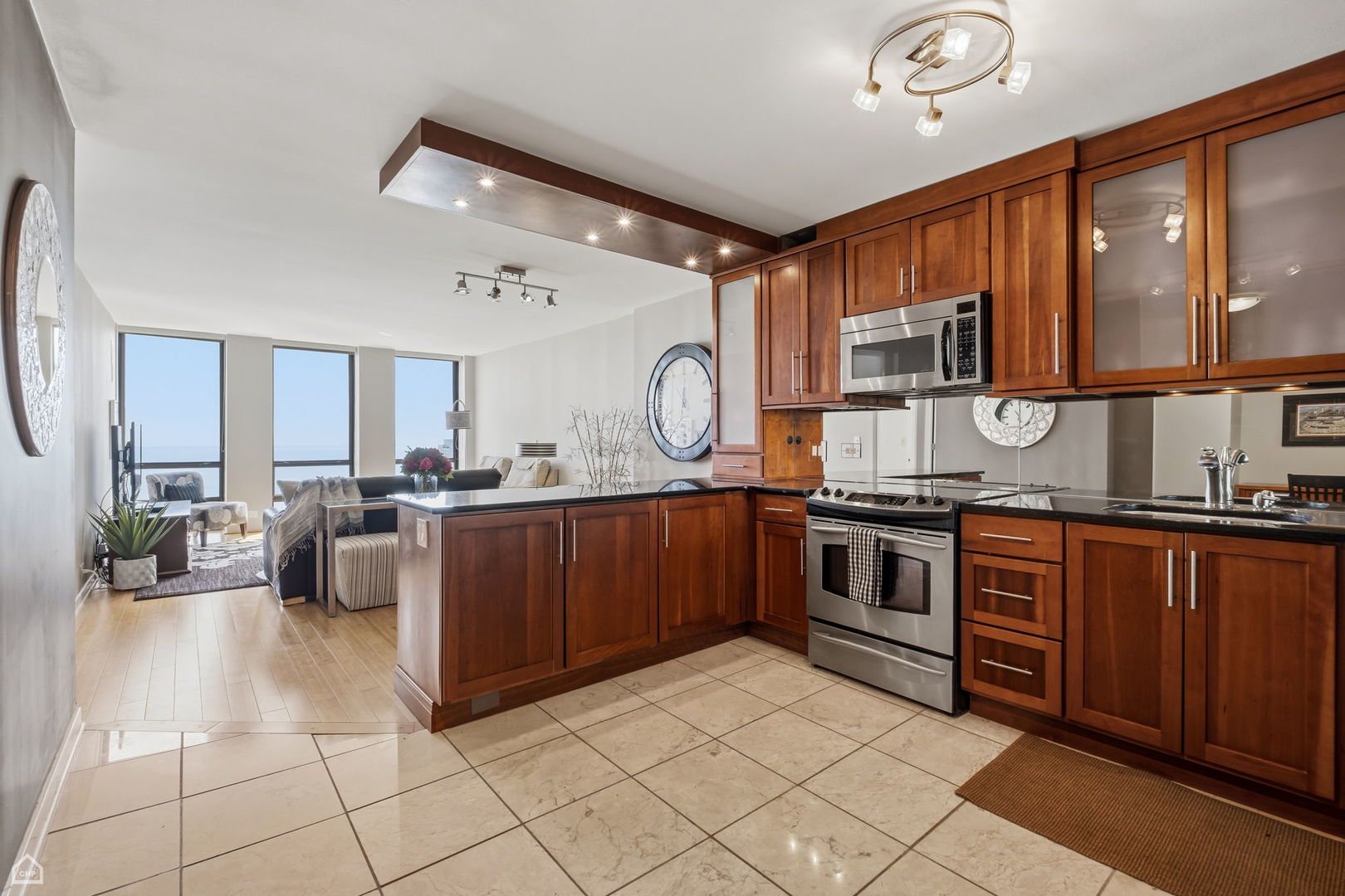 1660 N La Salle Drive 3809