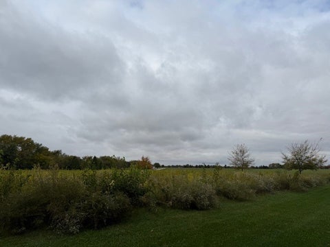 Tiny photo for 2202 AMBER LANE LN, Urbana, IL 61802 (MLS # 12670815)