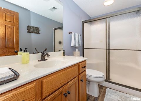 Tiny photo for 28055 238TH Street, Le Claire, IA 52753 (MLS # QC4268951)