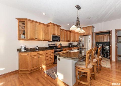 Tiny photo for 28055 238TH Street, Le Claire, IA 52753 (MLS # QC4268951)