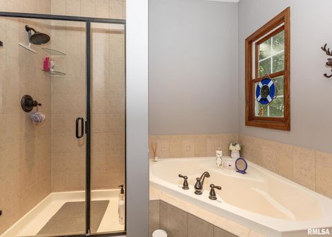 Tiny photo for 28055 238TH Street, Le Claire, IA 52753 (MLS # QC4268951)