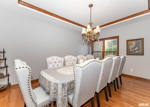 Tiny photo for 28055 238TH Street, Le Claire, IA 52753 (MLS # QC4268951)