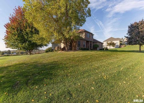 Tiny photo for 28055 238TH Street, Le Claire, IA 52753 (MLS # QC4268951)