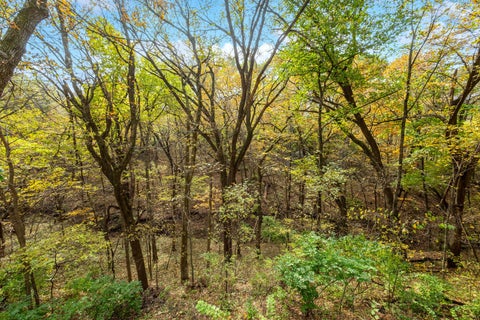 Tiny photo for 1108 E 4th Street, Coal Valley, IL 61240 (MLS # 12794055)