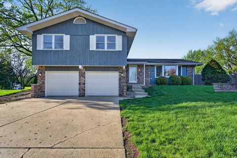 Photo of 3211 Wild Oaks Court, Joliet, IL 60431 (MLS # 12622823)