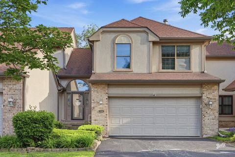Photo of 204 Bright Ridge Drive, Schaumburg, IL 60194 (MLS # 12655714)