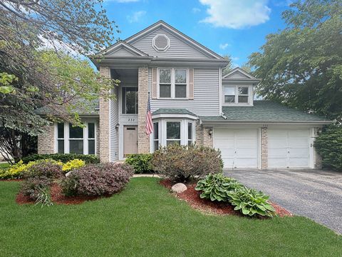 232 Southfield Drive Vernon Hills IL 60061