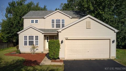 Tiny photo for 438 W Meadow Mist Lane, Round Lake, IL 60073 (MLS # 12507543)